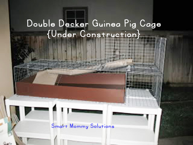 guinea pig cage under construction