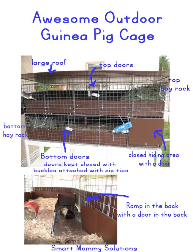 Outdoor guinea 2024 pig cage