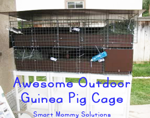 Outdoor guinea pig outlet cages