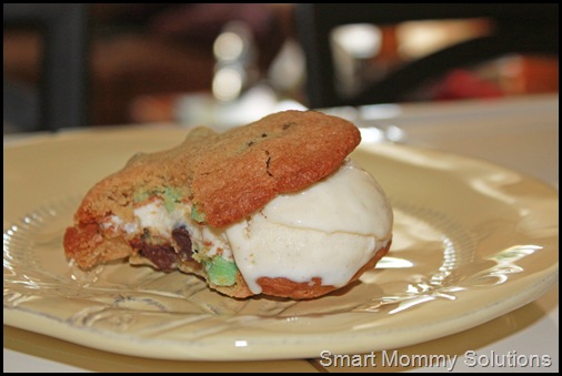 ice cream cookie with flash