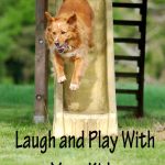 laugh and play with your kids