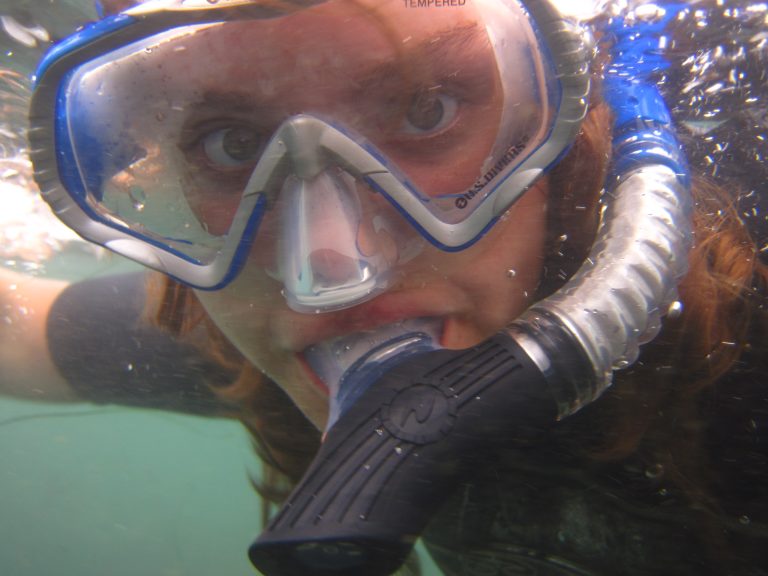 Annual Snorkeling Trip to La Jolla Cove